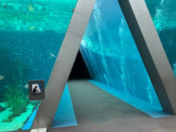 環境水族館アクアマリンふくしまに投稿された画像（2024/6/2）