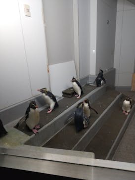 AOAO SAPPOROに投稿された画像（2024/6/2）