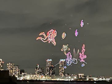 シーバスに投稿された画像（2024/6/2）