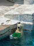 天王寺動物園に投稿された画像（2024/6/2）