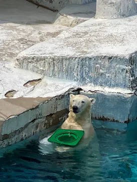 天王寺動物園に投稿された画像（2024/6/2）