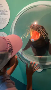 天王寺動物園に投稿された画像（2024/6/2）