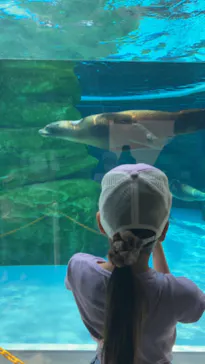 天王寺動物園に投稿された画像（2024/6/2）