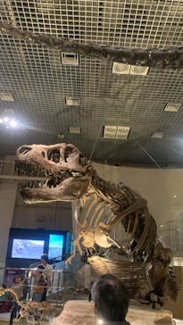国立科学博物館に投稿された画像（2024/6/2）
