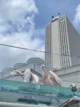 サンシャイン水族館に投稿された画像（2024/6/2）