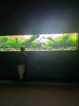 AOAO SAPPOROに投稿された画像（2024/6/2）