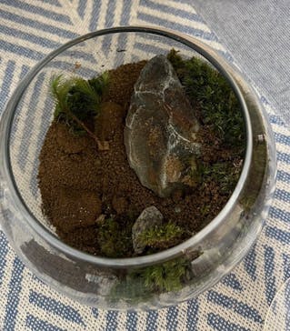 苔むす屋に投稿された画像（2024/6/2）