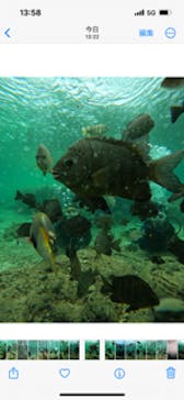 武藤潜水に投稿された画像（2024/6/2）