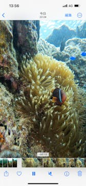 武藤潜水に投稿された画像（2024/6/2）