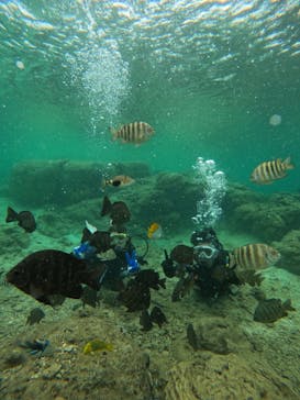 武藤潜水に投稿された画像（2024/6/2）