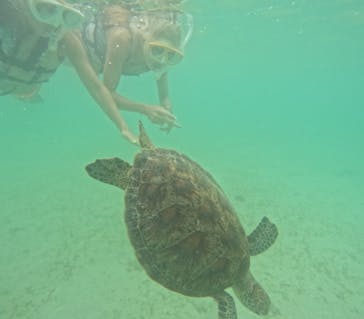 宮古島マリンショップSmileyに投稿された画像（2024/6/2）