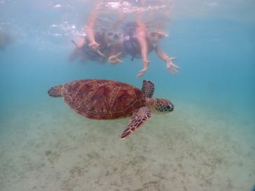 宮古島マリンショップSmileyに投稿された画像（2024/6/2）