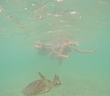 宮古島マリンショップSmileyに投稿された画像（2024/6/2）