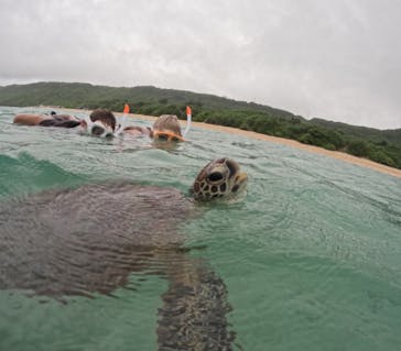 宮古島マリンショップSmileyに投稿された画像（2024/6/2）