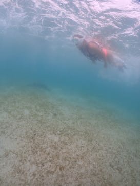 宮古島マリンショップSmileyに投稿された画像（2024/6/2）