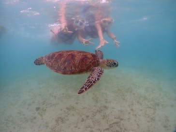 宮古島マリンショップSmileyに投稿された画像（2024/6/2）