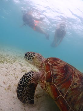 宮古島マリンショップSmileyに投稿された画像（2024/6/2）