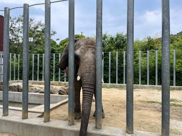 しろとり動物園に投稿された画像（2024/6/2）