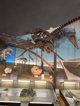 福井県立恐竜博物館に投稿された画像（2024/6/2）