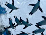 サンシャイン水族館に投稿された画像（2024/6/2）