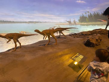 福井県立恐竜博物館に投稿された画像（2024/6/2）