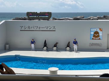 鴨川シーワールドに投稿された画像（2024/6/2）