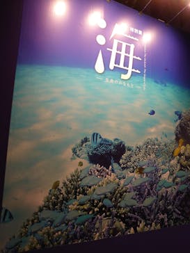 特別展「海　―生命のみなもと―」名古屋市科学館に投稿された画像（2024/6/2）
