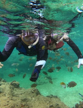 武藤潜水に投稿された画像（2024/6/2）