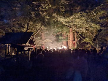 大山ツアーデスクに投稿された画像（2024/6/2）