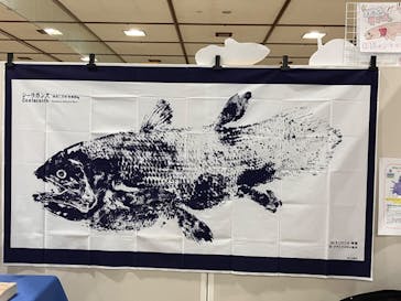 地球のお宝大集合！博物マニアに投稿された画像（2024/6/2）