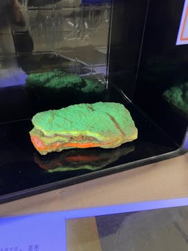 地球のお宝大集合！博物マニアに投稿された画像（2024/6/2）