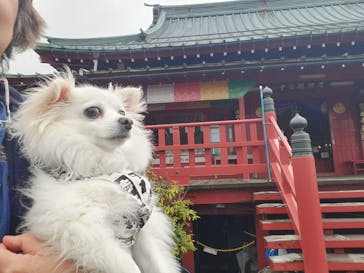 鬼押出し園に投稿された画像（2024/6/2）