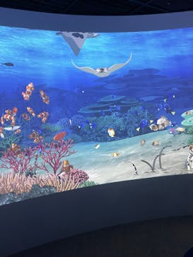 鴨川シーワールドに投稿された画像（2024/6/2）