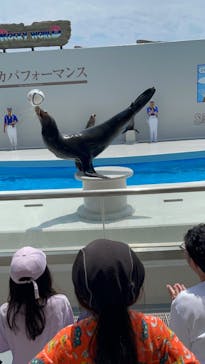 鴨川シーワールドに投稿された画像（2024/6/2）