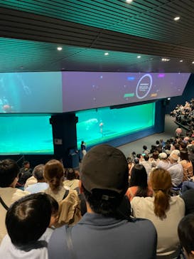 鴨川シーワールドに投稿された画像（2024/6/2）