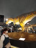 福井県立恐竜博物館に投稿された画像（2024/6/2）