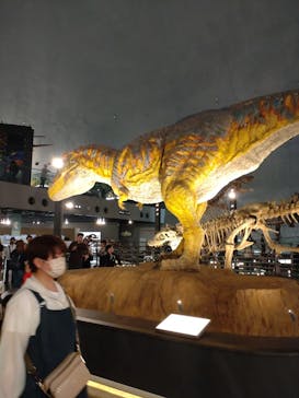 福井県立恐竜博物館に投稿された画像（2024/6/2）
