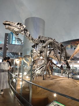 福井県立恐竜博物館に投稿された画像（2024/6/2）