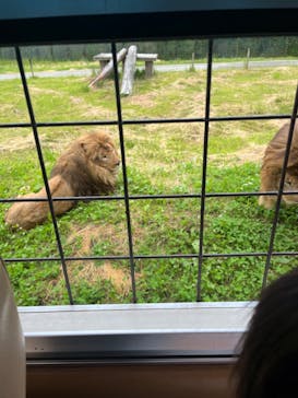 那須サファリパークに投稿された画像（2024/6/2）