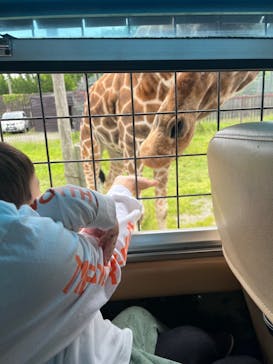 那須サファリパークに投稿された画像（2024/6/2）