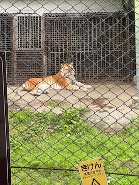 那須サファリパークに投稿された画像（2024/6/2）