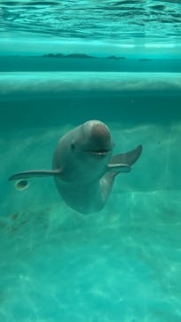 マリンワールド海の中道に投稿された画像（2024/6/2）