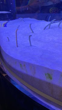 マリンワールド海の中道に投稿された画像（2024/6/2）