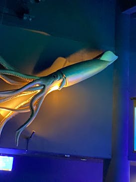 マリンワールド海の中道に投稿された画像（2024/6/2）