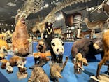 特別展「大哺乳類展３－わけてつなげて大行進」に投稿された画像（2024/6/2）