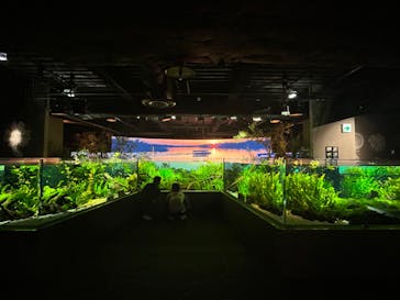 カワスイ 川崎⽔族館に投稿された画像（2024/6/2）