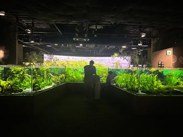 カワスイ 川崎⽔族館に投稿された画像（2024/6/2）