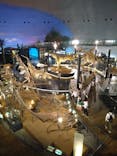 福井県立恐竜博物館に投稿された画像（2024/6/2）