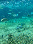 天王寺動物園に投稿された画像（2024/6/2）