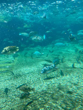 天王寺動物園に投稿された画像（2024/6/2）